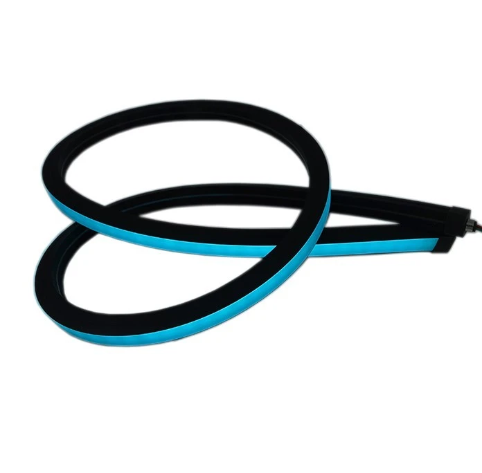 Flexible Neon Light
